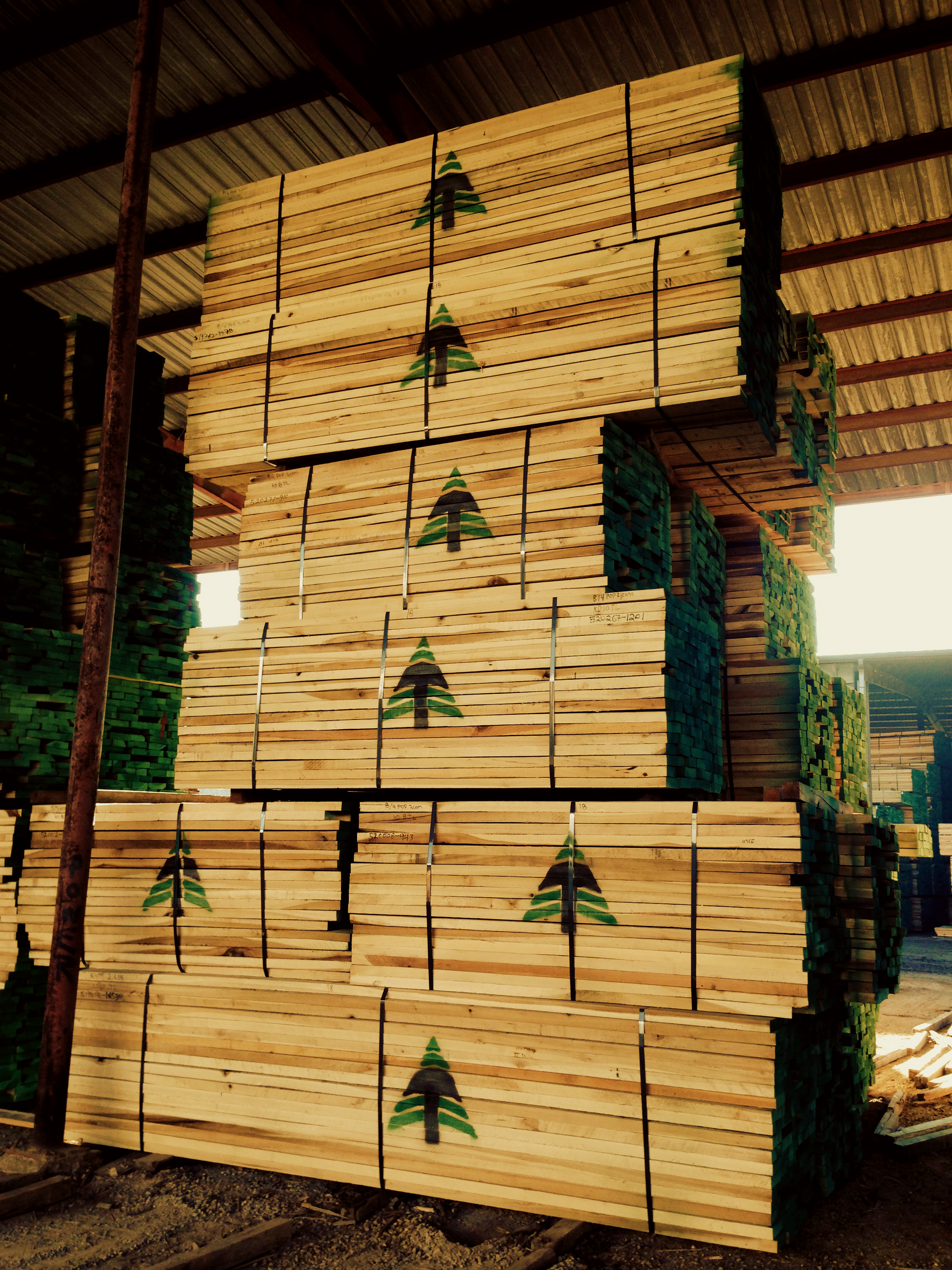 Kiln dried lumber ready for container shipments.