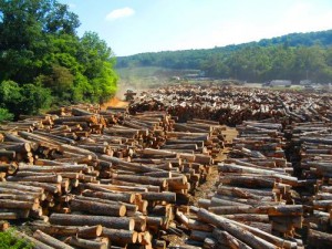 Turman Lumber Log Yard